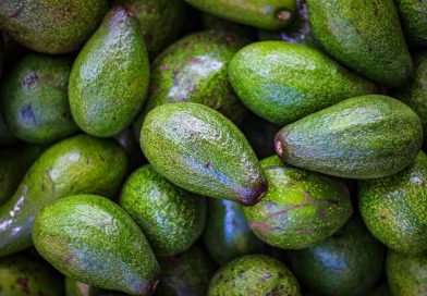 Madtrend fra verden: Avocadoolie fra Mexico