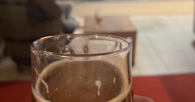Øl og alkohol i Finland